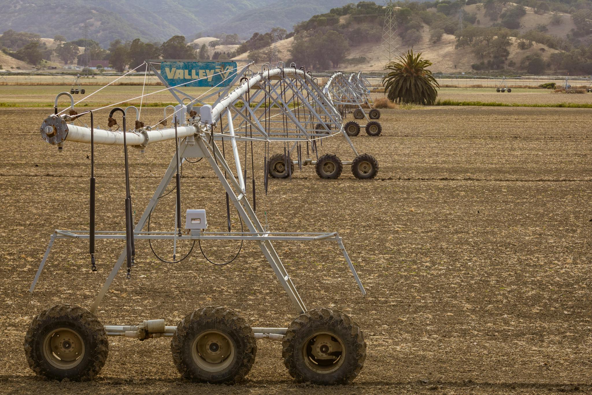Long irrigation system on a farm field, illustrating modern agricultural methods.